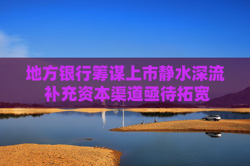 4500网约外围模特女神 地方银行筹谋上市静水深流 补充资本渠道亟待拓宽  第1张