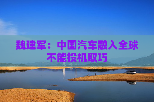 4480yy在线A片无码 魏建军：中国汽车融入全球不能投机取巧  第1张