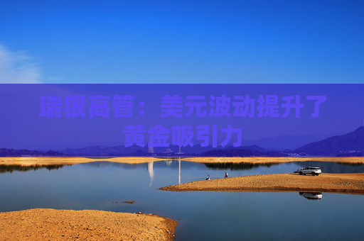 瑞银高管：美元波动提升了黄金吸引力