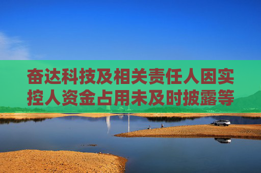 4480yy在线A片无码 奋达科技及相关责任人因实控人资金占用未及时披露等问题被警示  第1张