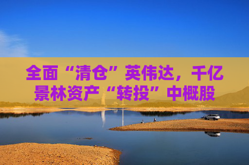 全面“清仓”英伟达，千亿景林资产“转投”中概股