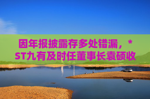 因年报披露存多处错漏，*ST九有及时任董事长袁硕收上交所监管警示函