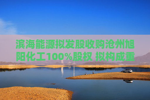 滨海能源拟发股收购沧州旭阳化工100%股权 拟构成重大资产重组  第1张