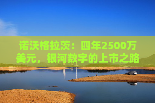 诺沃格拉茨：四年2500万美元，银河数字的上市之路 “充满挫败”  第1张