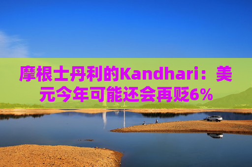 4500网约外围模特女神 摩根士丹利的Kandhari：美元今年可能还会再贬6%  第1张