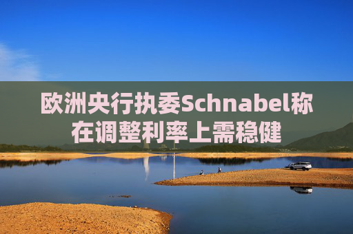 欧洲央行执委Schnabel称在调整利率上需稳健