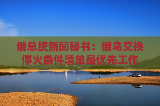 4480yy在线A片无码 俄总统新闻秘书：俄乌交换停火条件清单是优先工作  第1张