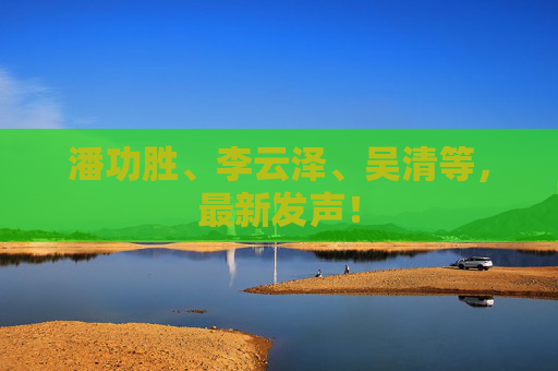 潘功胜、李云泽、吴清等，最新发声！