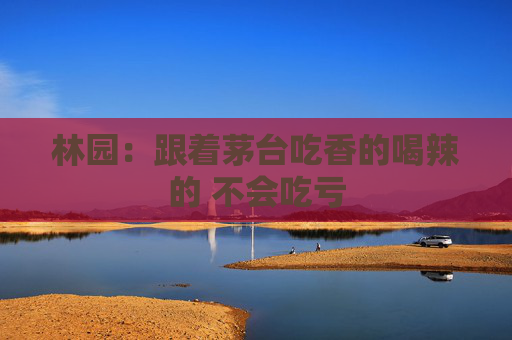 4500网约外围模特女神 林园：跟着茅台吃香的喝辣的 不会吃亏  第1张