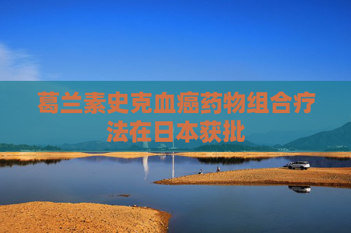 4480yy在线A片无码 葛兰素史克血癌药物组合疗法在日本获批  第1张