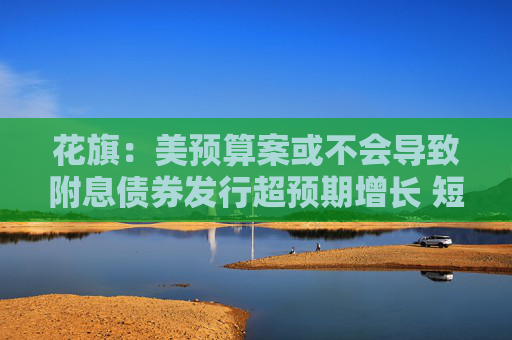 花旗：美预算案或不会导致附息债券发行超预期增长 短期国债抛售风险较低  第1张
