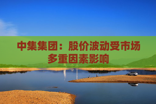 中集集团：股价波动受市场多重因素影响