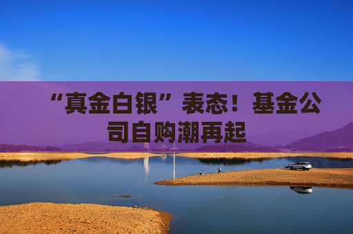 “真金白银”表态！基金公司自购潮再起