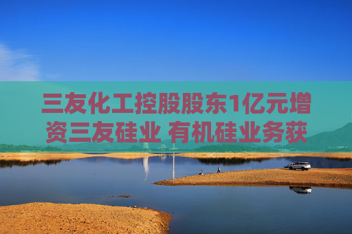三友化工控股股东1亿元增资三友硅业 有机硅业务获“输血”
