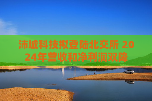 沛城科技拟登陆北交所 2024年营收和净利润双降