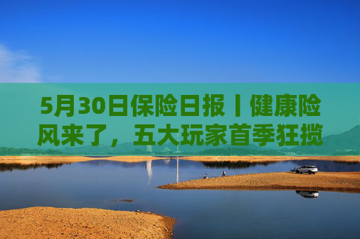 5月30日保险日报丨健康险风来了，五大玩家首季狂揽保费386亿元！年内66家险企关停近千家分支机构