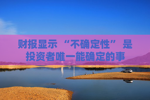 财报显示 “不确定性” 是投资者唯一能确定的事