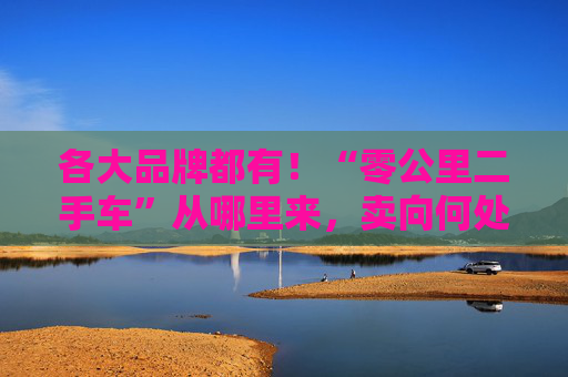 各大品牌都有！“零公里二手车”从哪里来，卖向何处，影响有多大？
