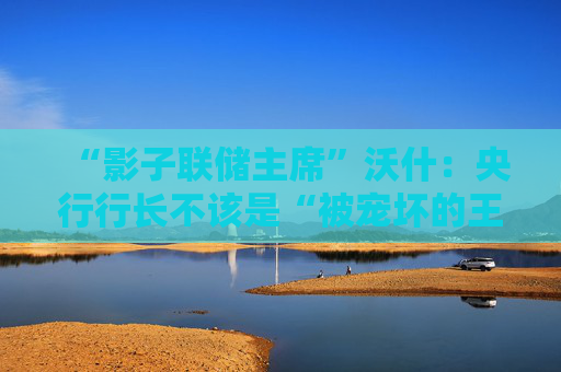 “影子联储主席”沃什：央行行长不该是“被宠坏的王子”，央行成立就是为了给政客找个“替罪羊”