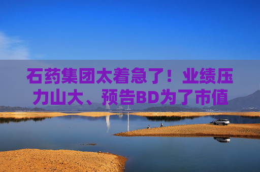石药集团太着急了！业绩压力山大、预告BD为了市值管理？