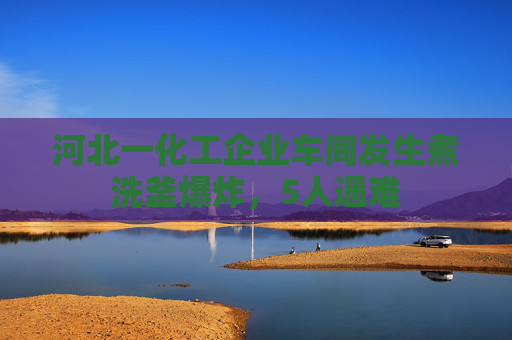 河北一化工企业车间发生煮洗釜爆炸，5人遇难