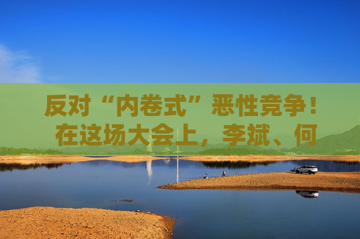 反对“内卷式”恶性竞争！  在这场大会上，李斌、何小鹏、閤先庆等表态“价格战”