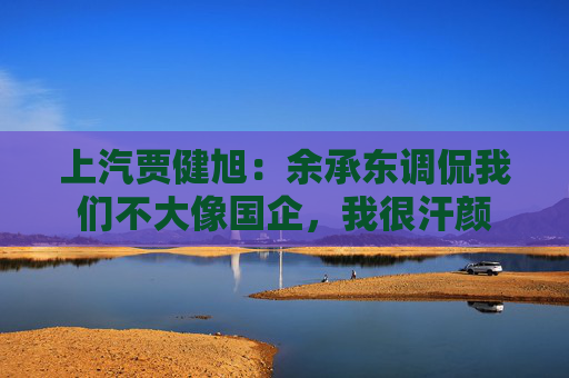 上汽贾健旭：余承东调侃我们不大像国企，我很汗颜