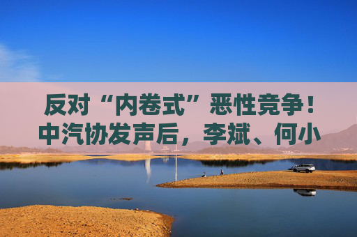反对“内卷式”恶性竞争！中汽协发声后，李斌、何小鹏、閤先庆等车企大佬集体表态“价格战”  第1张
