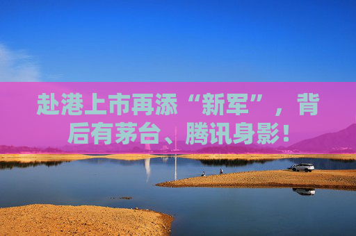 赴港上市再添“新军”，背后有茅台、腾讯身影！