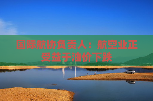 国际航协负责人：航空业正受益于油价下跌
