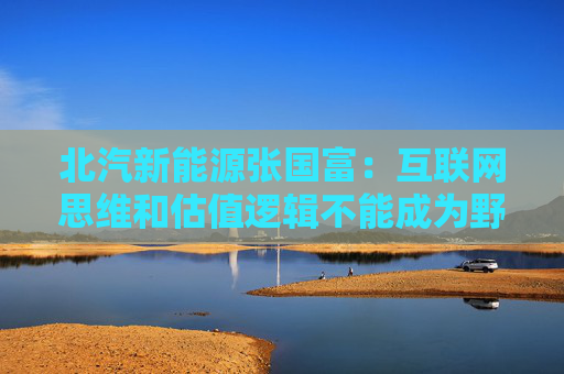 北汽新能源张国富：互联网思维和估值逻辑不能成为野蛮生长的理由