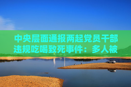 中央层面通报两起党员干部违规吃喝致死事件：多人被处理处分