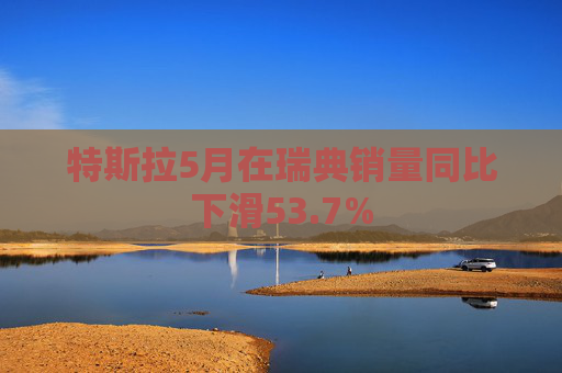 4480yy在线A片无码 特斯拉5月在瑞典销量同比下滑53.7%  第1张
