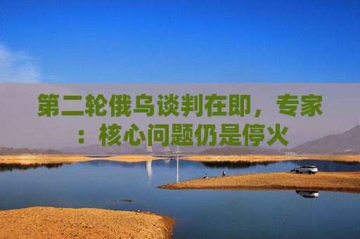 第二轮俄乌谈判在即，专家：核心问题仍是停火