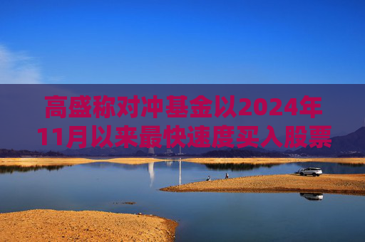 4500网约外围模特女神 高盛称对冲基金以2024年11月以来最快速度买入股票  第1张