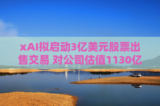 xAI拟启动3亿美元股票出售交易 对公司估值1130亿美元