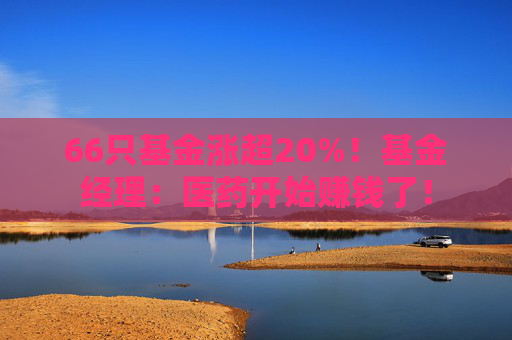 66只基金涨超20%！基金经理：医药开始赚钱了！