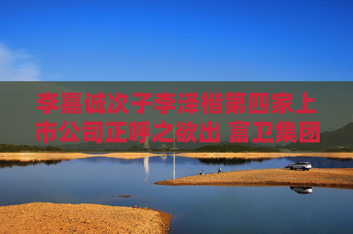 李嘉诚次子李泽楷第四家上市公司正呼之欲出 富卫集团已向港交所递交招股书