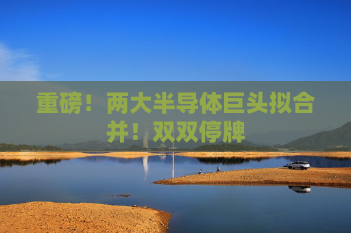 重磅！两大半导体巨头拟合并！双双停牌