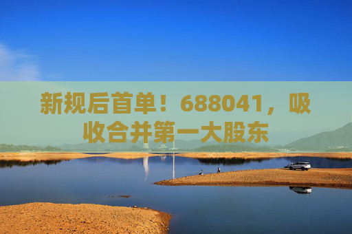 新规后首单！688041，吸收合并第一大股东
