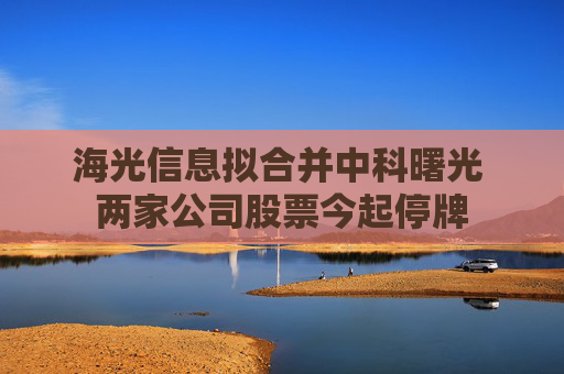 海光信息拟合并中科曙光 两家公司股票今起停牌