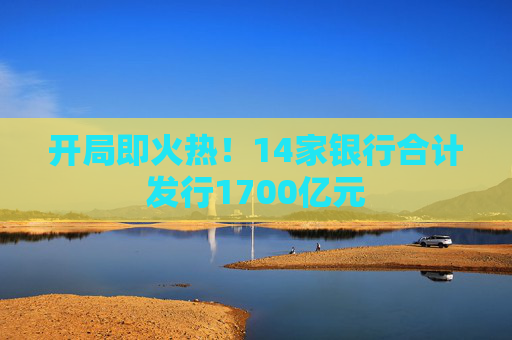 开局即火热！14家银行合计发行1700亿元