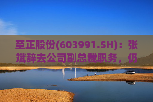 至正股份(603991.SH)：张斌辞去公司副总裁职务，仍在公司担任其他职务