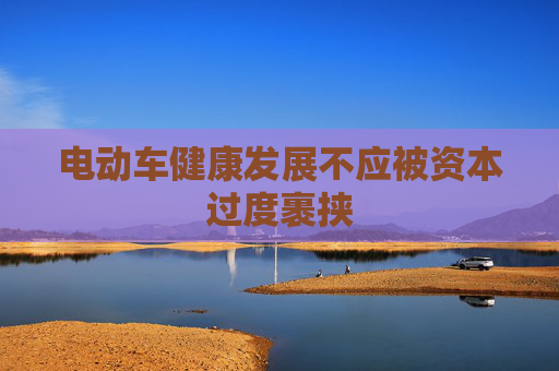 电动车健康发展不应被资本过度裹挟