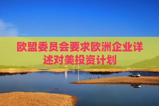4480yy在线A片无码 欧盟委员会要求欧洲企业详述对美投资计划  第1张