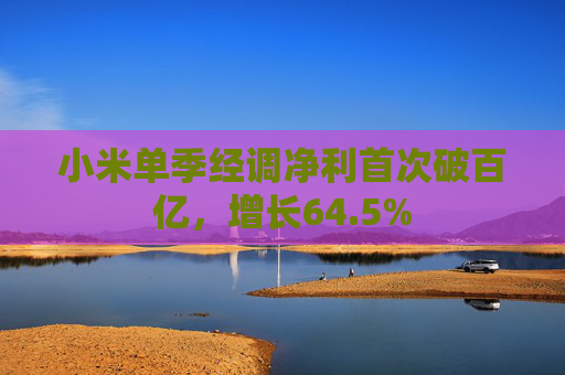 小米单季经调净利首次破百亿，增长64.5%