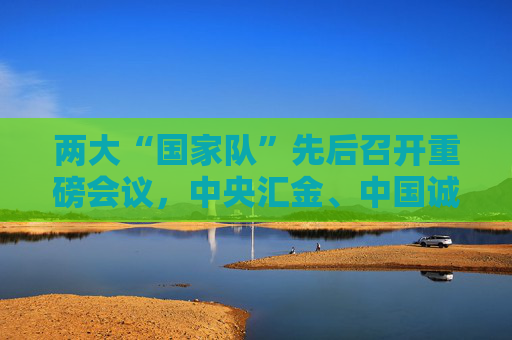 两大“国家队”先后召开重磅会议，中央汇金、中国诚通分别部署了哪些重点任务？  第1张