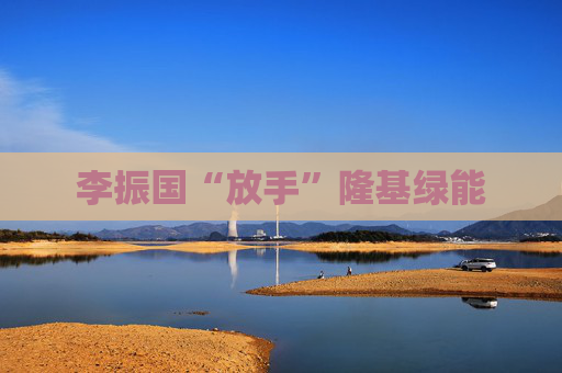 4480yy在线A片无码 李振国“放手”隆基绿能  第1张