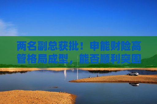 两名副总获批！申能财险高管格局成型，能否顺利突围？