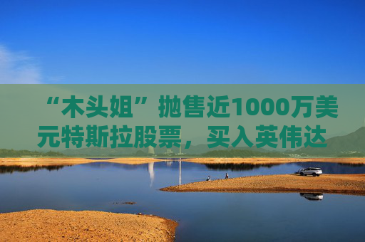 “木头姐”抛售近1000万美元特斯拉股票，买入英伟达和AMD